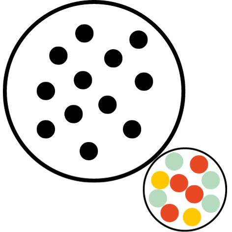 Infographic Segregatie